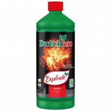 1L Explode Dutch Pro